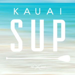 kauai sup stand up paddle